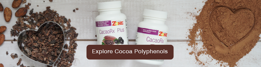 Explore-Cocoa-Polyphenols-Banner