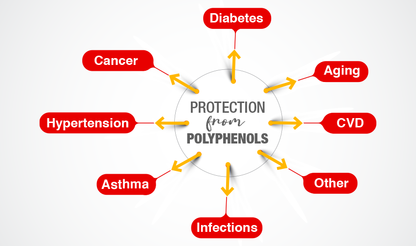 Protection-from-Polyphenols--