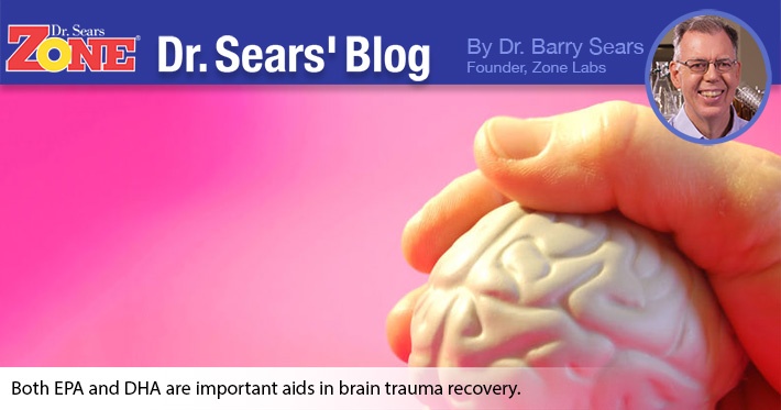 The Fallacy of Using DHA Alone for Brain Trauma