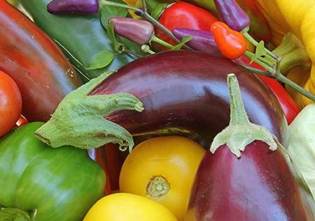 What Are Nightshade Vegetables and Should You Avoid Them?